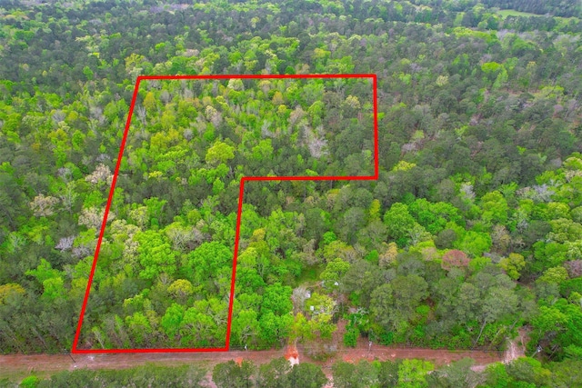 433 Saddle Surrey Ln, Coldspring, TX 77331