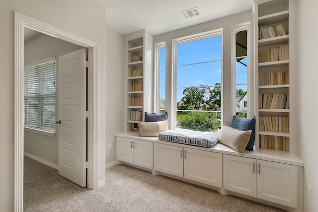 19506 Bradford Pines Ct, Cypress, TX 77433 - sitting room with light carpet and plenty of natural light