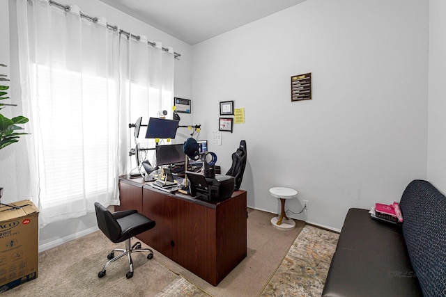 8619 Flamingo Bay Ln, Cypress, TX 77433 - office space featuring carpet and baseboards