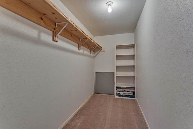 1437 Bowsprit Pt, Willis, TX 77318 - walk in closet featuring carpet