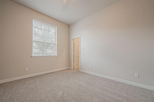 9803 Faulkner Trl, Rosharon, TX 77583 - photo 29