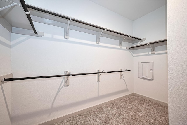 3943 Austins Pass, Katy, TX 77494 - walk in closet with electric panel and carpet floors