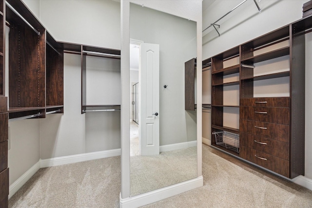 27722 Lakeway Trail Ln, Fulshear, TX 77441 - walk in closet with carpet
