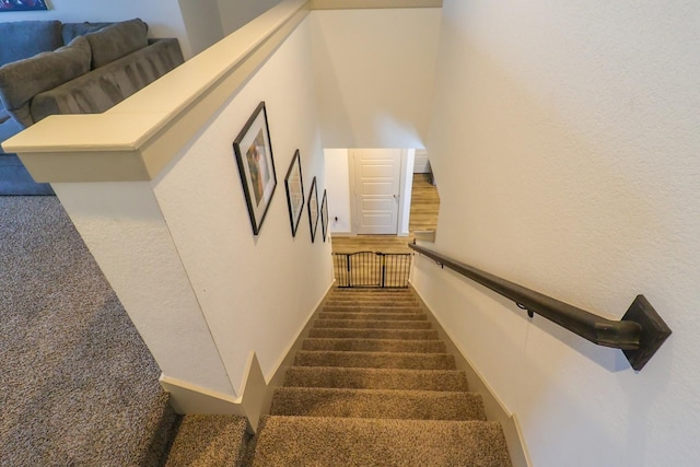 7727 Sleek Flock Ln, Rosharon, TX 77583 - photo 27
