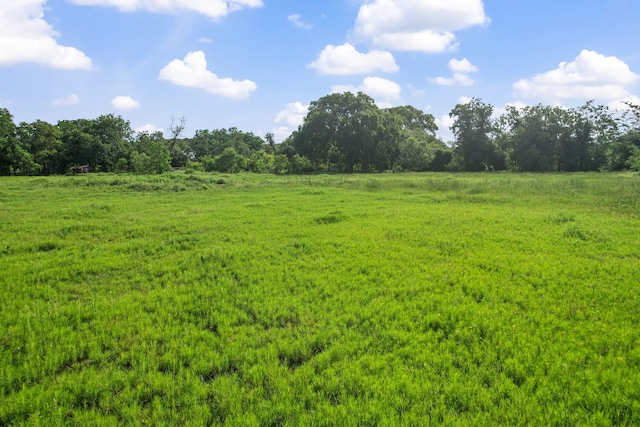 1166 County Road 676, Dayton, TX 77535 - photo 8