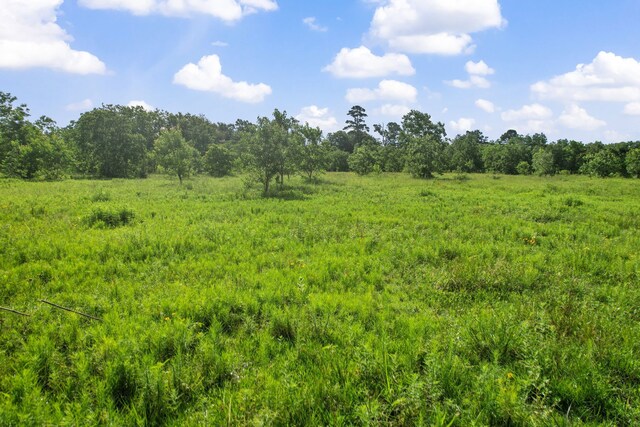 1166 County Road 676, Dayton, TX 77535 - photo 11