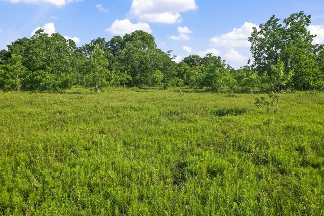 1166 County Road 676, Dayton, TX 77535 - photo 5