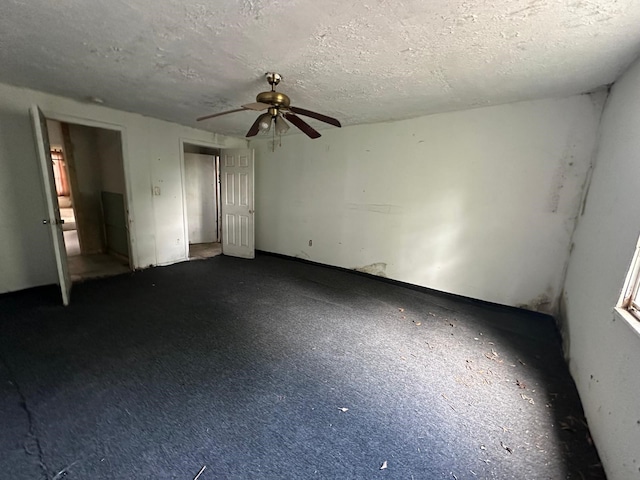 5709 Senior St, Houston, TX 77016 - photo 7