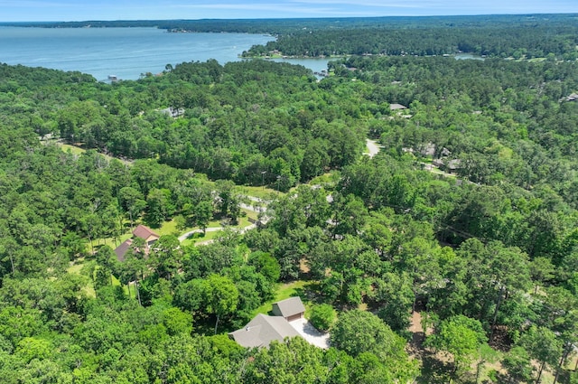 837 S Cape Royale Dr, Coldspring, TX 77331 - photo 3