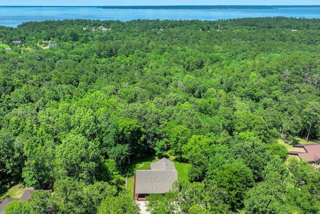 837 S Cape Royale Dr, Coldspring, TX 77331 - photo 39