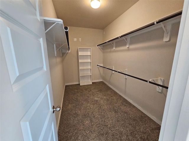 2230 Bright Sunrise Trl, Fresno, TX 77545 - photo 30