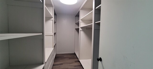 413 S Temple Dr, Diboll, TX 75941 - walk in closet featuring dark wood-type flooring