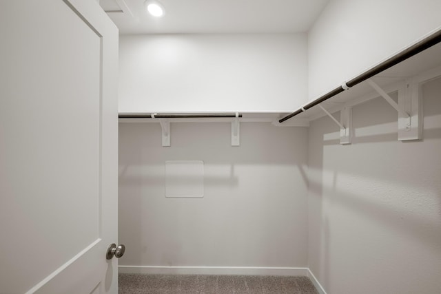 7831 Ruth Ravine Ct, Spring, TX 77379 - walk in closet with carpet flooring