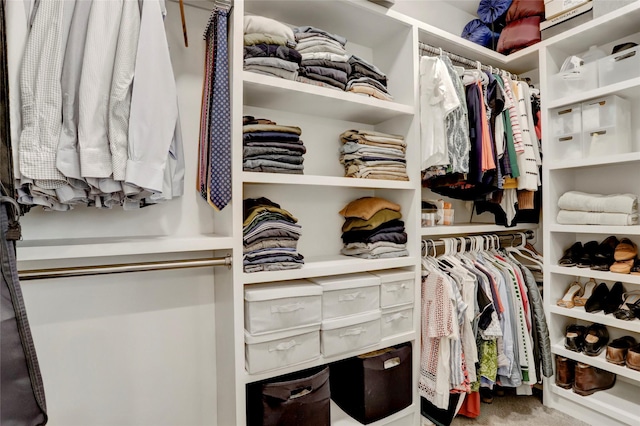 1039 Lamonte Ln, Houston, TX 77018 - spacious closet featuring carpet