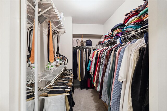 1018 Memorial Village Dr Unit 124, Houston, TX 77024 - walk in closet featuring carpet flooring