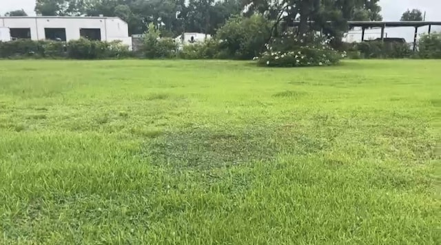 7116 Elbert St, Houston, TX 77028