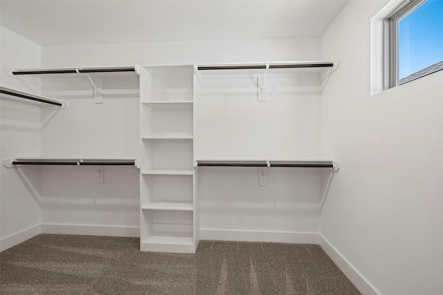 2845 14th St, Hempstead, TX 77445 - spacious closet with carpet floors