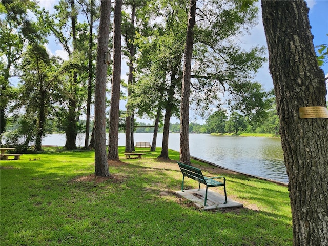 13396 Southshore Dr, Conroe, TX 77304