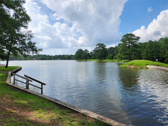 13396 Southshore Dr, Conroe, TX 77304