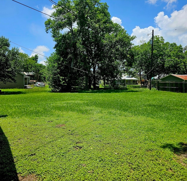 710 College St, El Campo, TX 77437 - view of yard