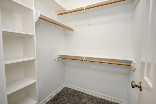 238 Horse Shoe Trl, Angleton, TX 77515 - spacious closet featuring carpet flooring