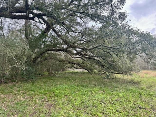 327 County Road 735, Angleton, TX 77515 - photo 41