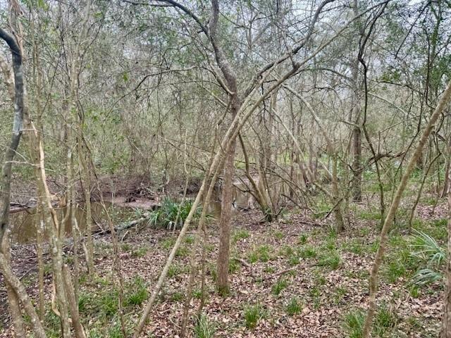327 County Road 735, Angleton, TX 77515 - photo 42