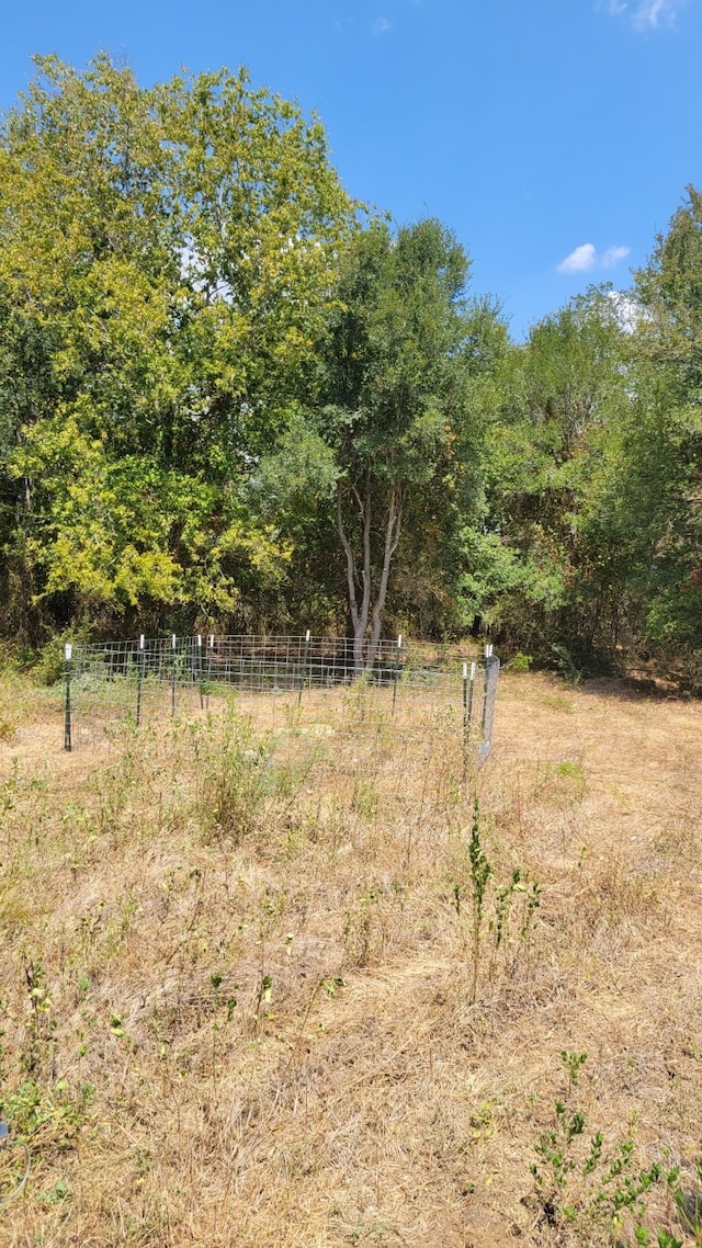 TBD County Road 450, Waelder, TX 78959