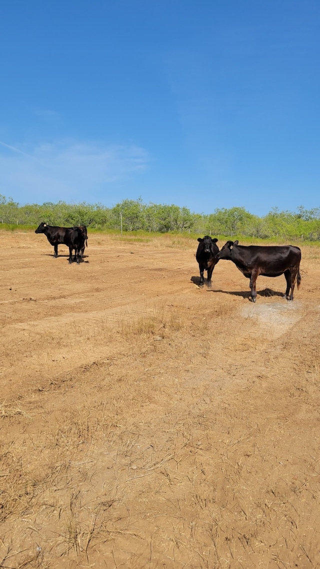 TBD County Road 450, Waelder, TX 78959