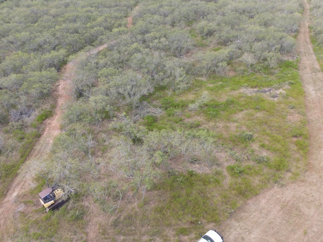 TBD County Road 450, Waelder, TX 78959