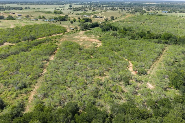 TBD County Road 450, Waelder, TX 78959