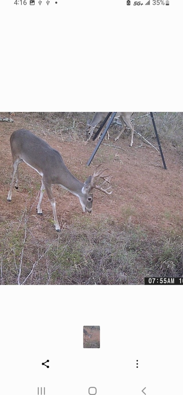 TBD County Road 450, Waelder, TX 78959 - photo 23