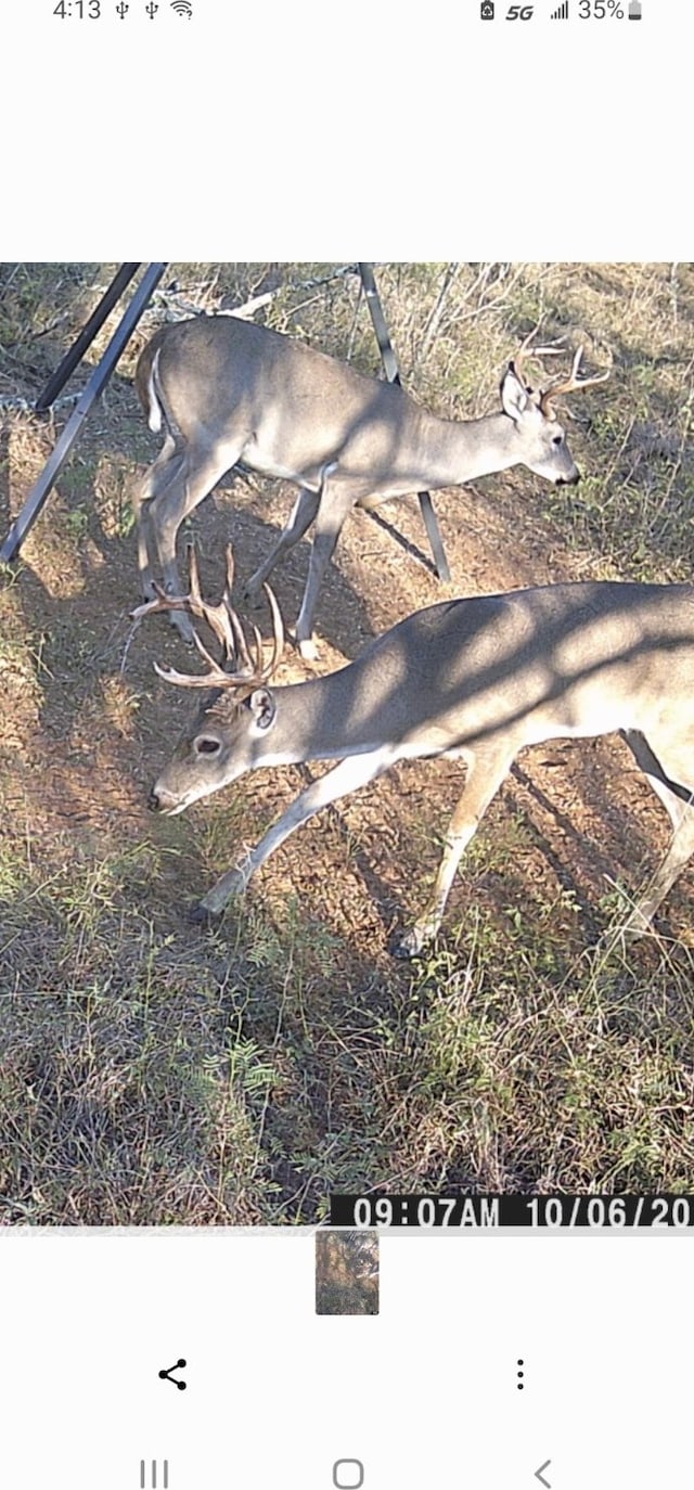TBD County Road 450, Waelder, TX 78959 - photo 24