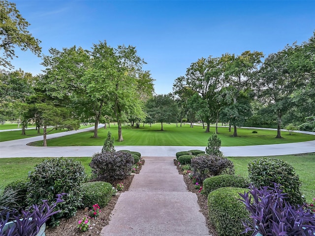 650 Oak Dr, Friendswood, TX 77546 - photo 4
