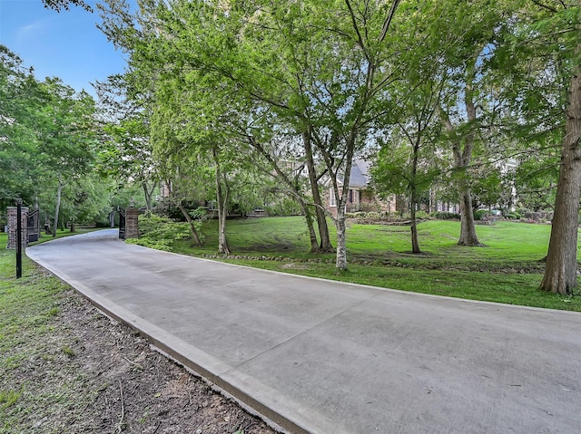 650 Oak Dr, Friendswood, TX 77546 - photo 33
