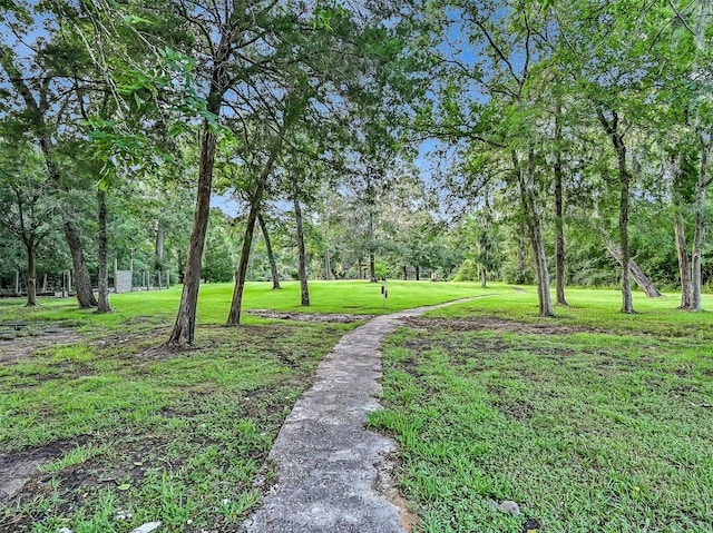 650 Oak Dr, Friendswood, TX 77546 - photo 43