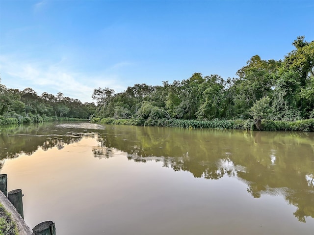 650 Oak Dr, Friendswood, TX 77546 - photo 48