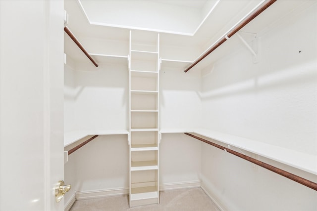 966 Bentwater Dr, Montgomery, TX 77356 - view of spacious closet