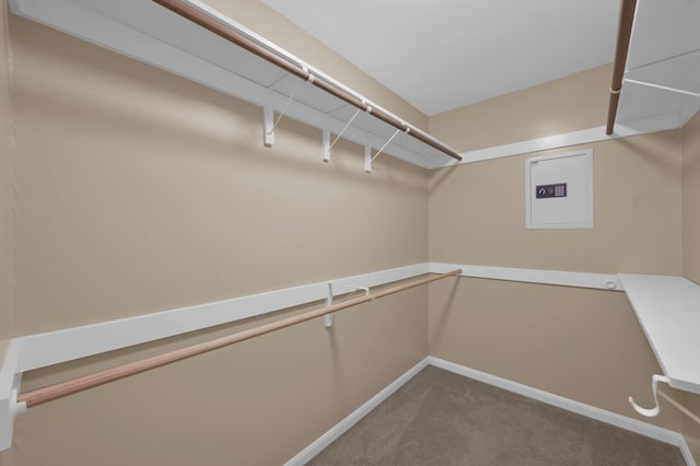 29615 Binefield St, Spring, TX 77386 - photo 16