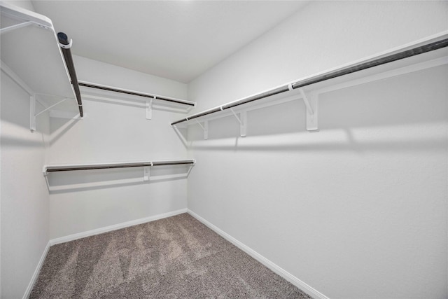 16853 Needlepoint Dr, Conroe, TX 77302 - walk in closet with carpet floors
