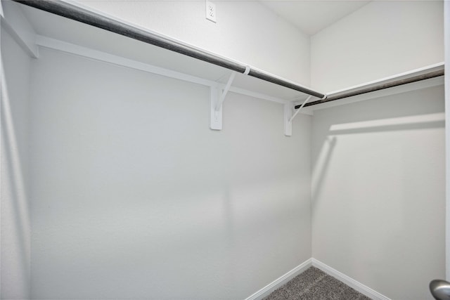 16853 Needlepoint Dr, Conroe, TX 77302 - walk in closet with carpet