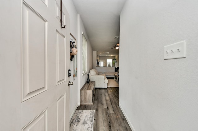 3923 Calasso Ct, Katy, TX 77493 - entrance foyer featuring dark wood-style floors and a ceiling fan