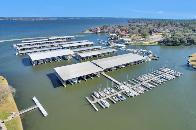 11210 Walden Rd, Montgomery, TX 77356 - aerial view of a nearby body of water and a marina