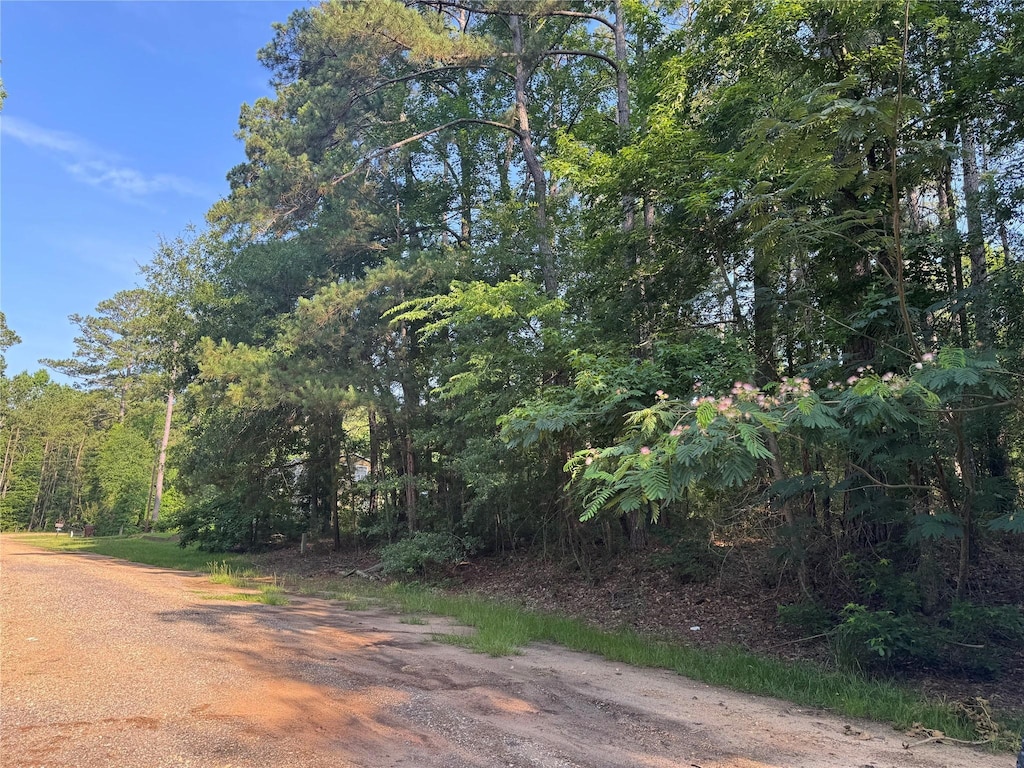 TBD Hidden Cir, Coldspring, TX 77331