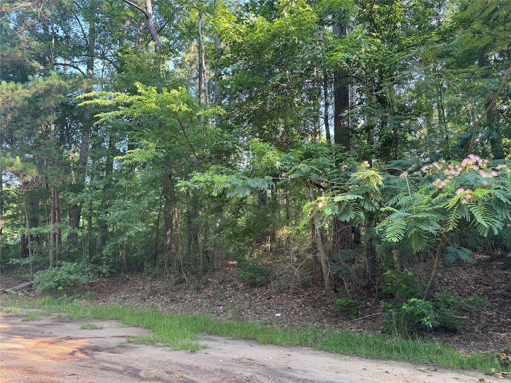 TBD Hidden Cir, Coldspring, TX 77331
