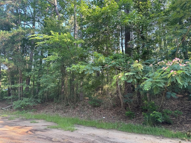 TBD Hidden Cir, Coldspring, TX 77331
