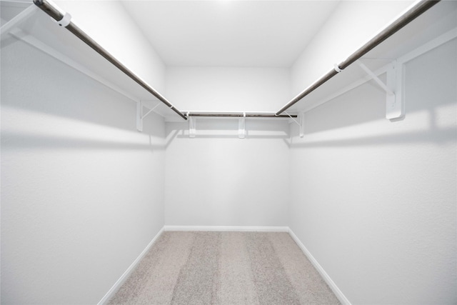 16866 Needlepoint Dr, Conroe, TX 77302 - spacious closet with carpet flooring