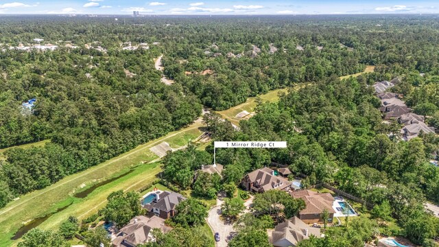 1 Mirror Ridge Ct, The Woodlands, TX 77382 - photo 37