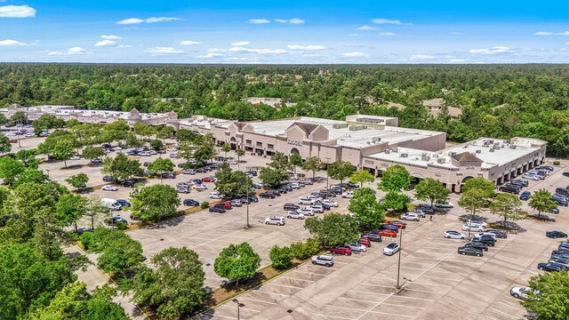 1 Mirror Ridge Ct, The Woodlands, TX 77382 - photo 45