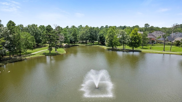 14510 Kings Head Dr, Houston, TX 77044 - water view with a tree filled landscape